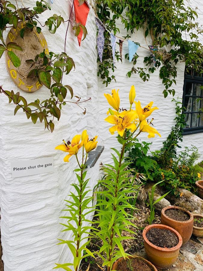 Truly Paradise Cottage Golant エクステリア 写真